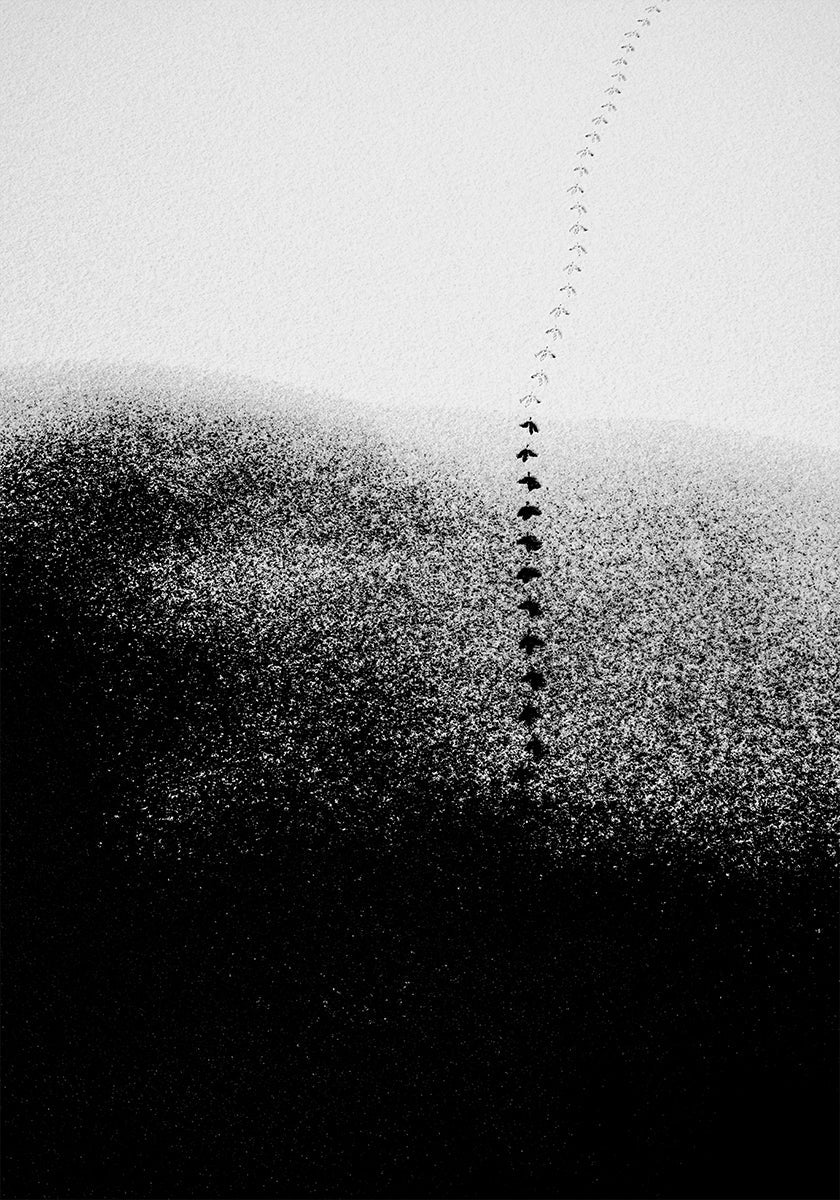 Póster Passos na neve