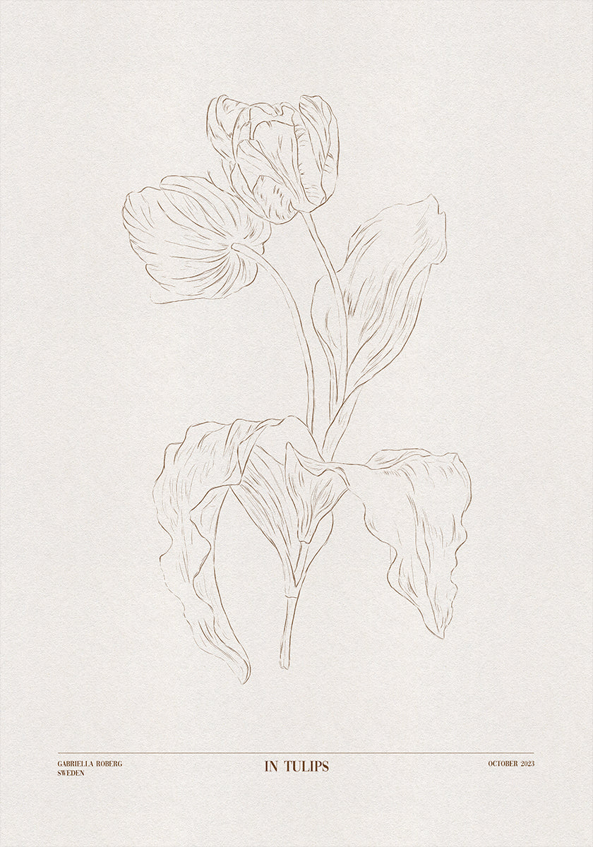 Em tulipas (marrom)