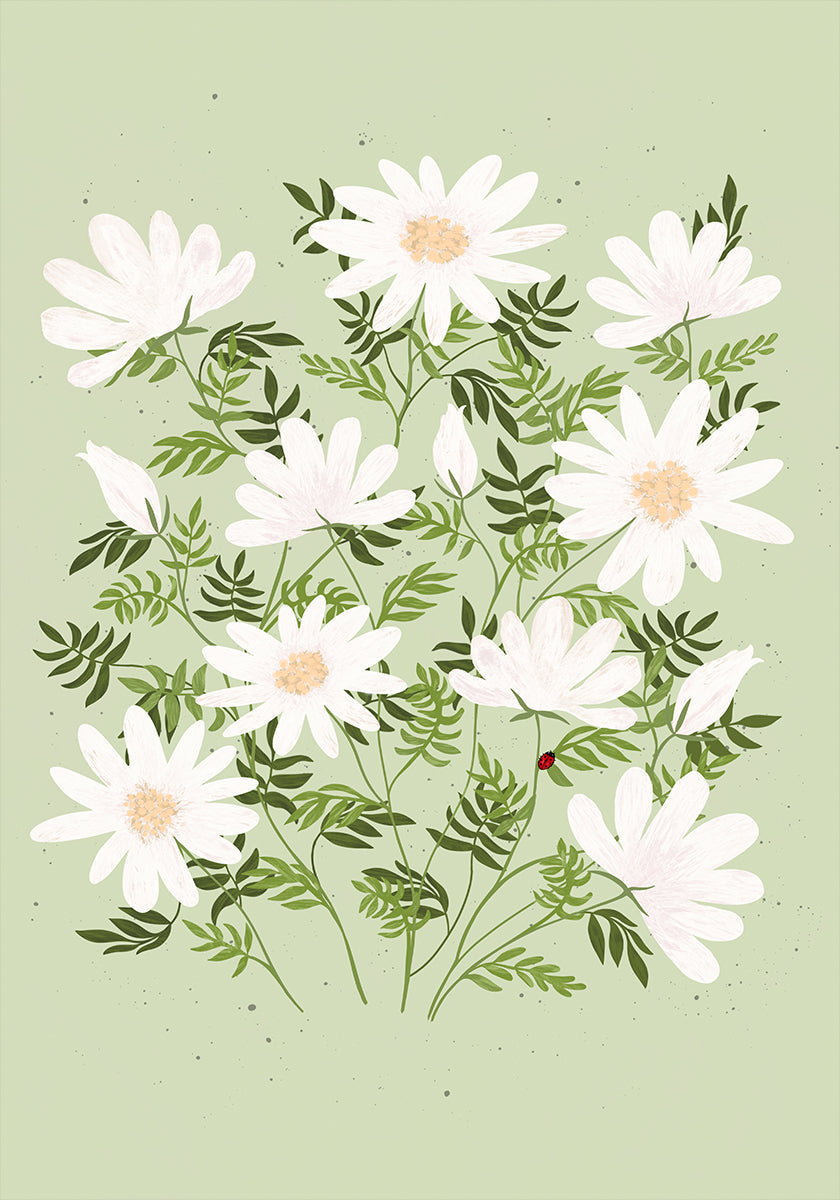 Flores de joaninha