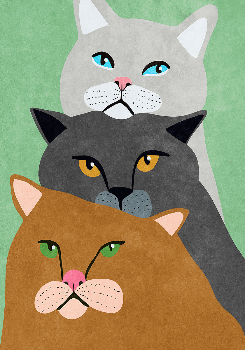 Pôster Trio de Gato
