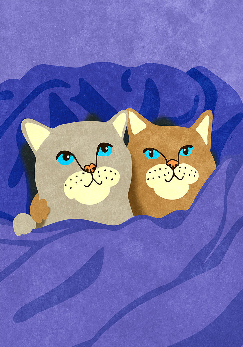 Gatos na cama
