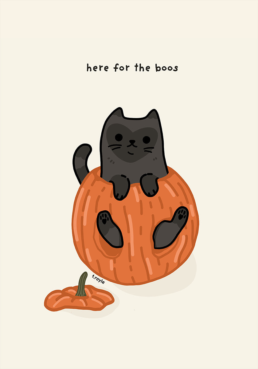 Gato preto sentado brincando em uma abóbora