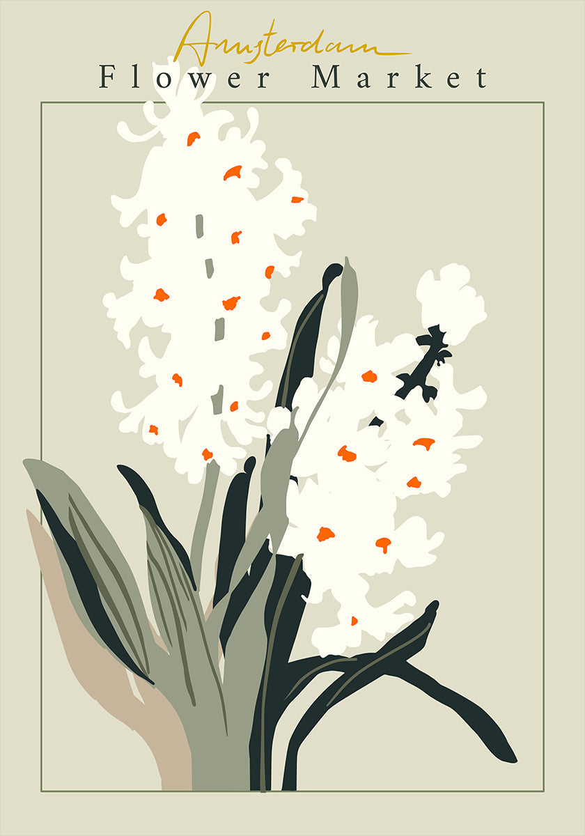 Póster Jacinto de Amsterdã do mercado de flores