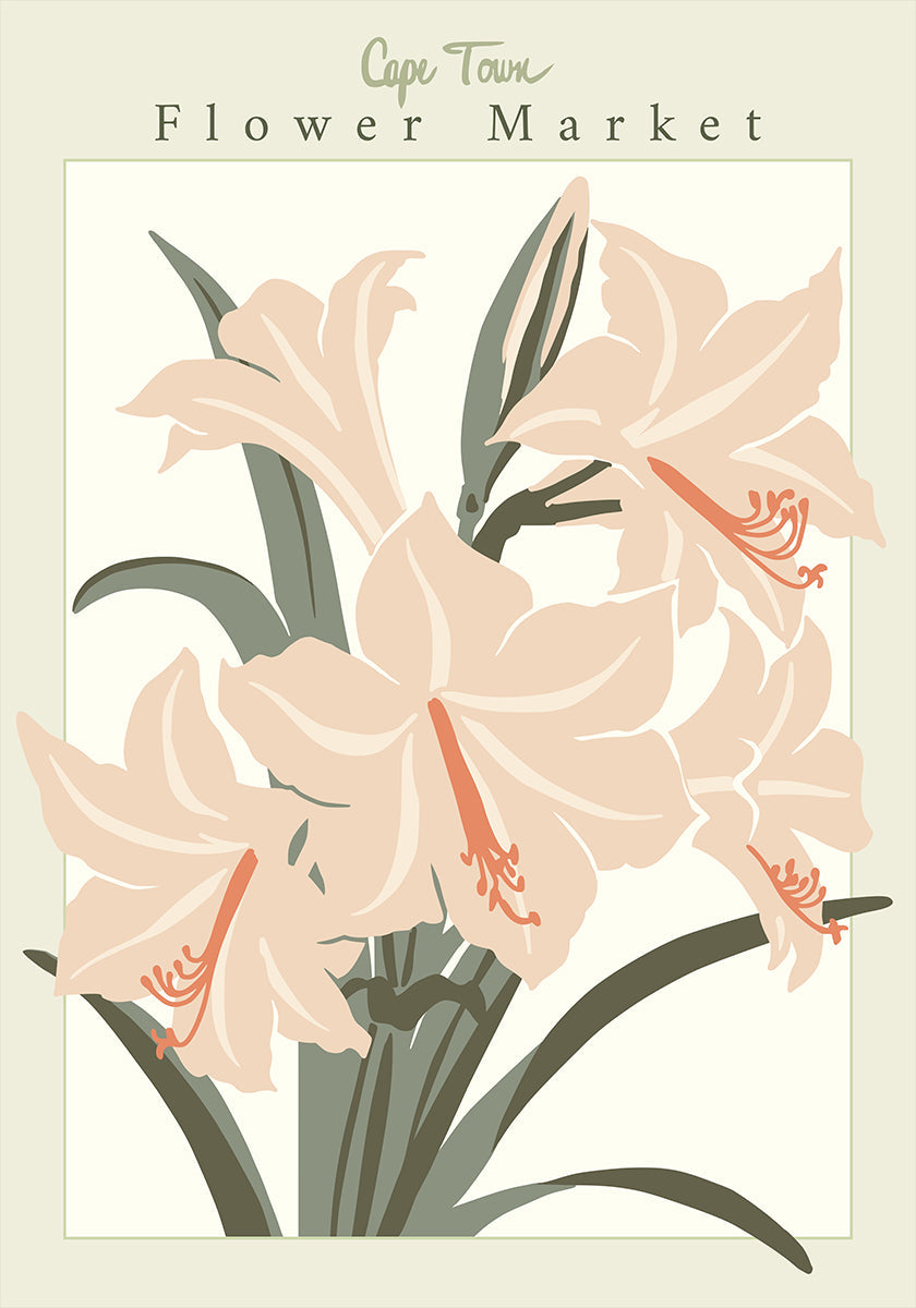 Póster Amaryllis da cidade do tampão de mercado da flor