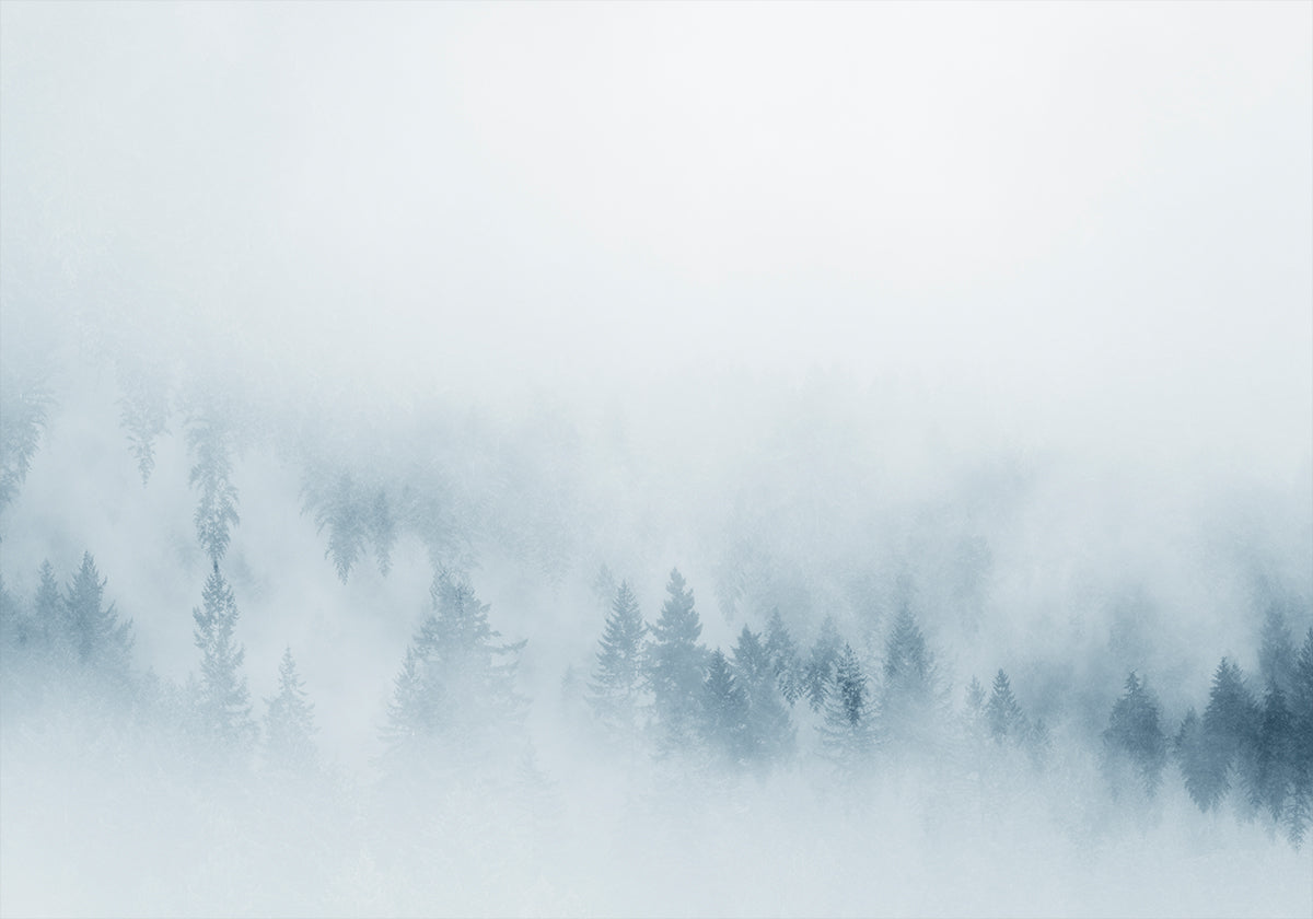 Pôster Misty Pines