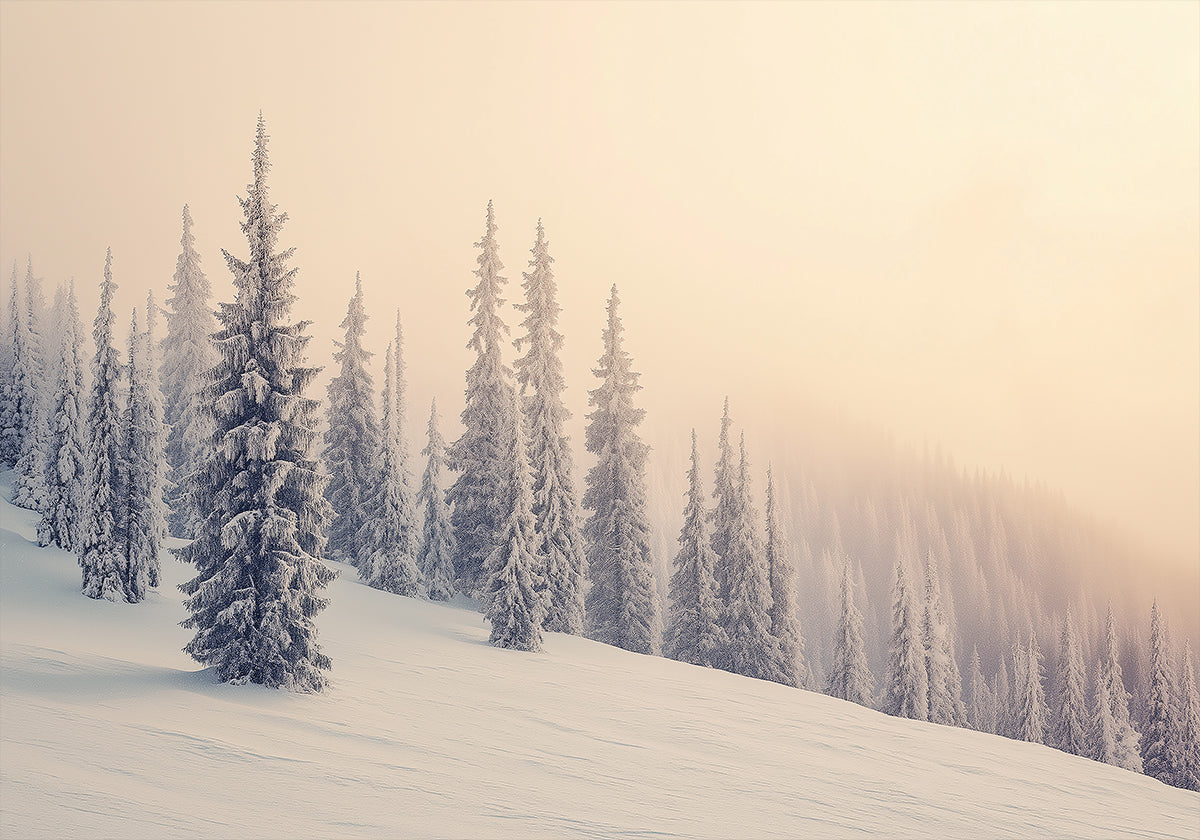 Póster Pinhos nevados da paisagem do inverno