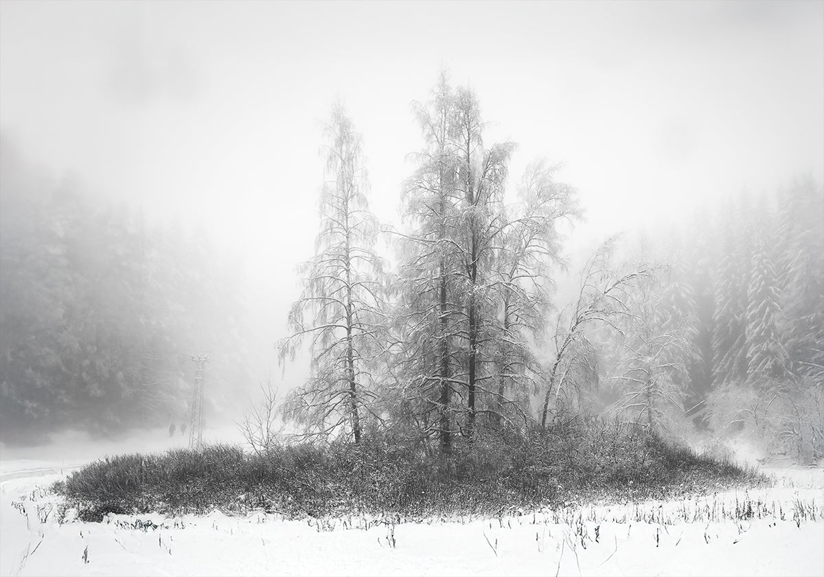 Póster Winter in the mountain