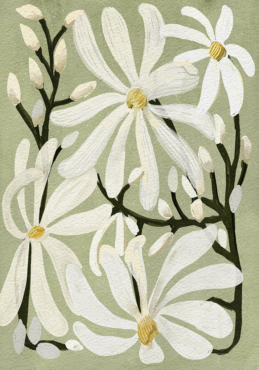 Póster Star Magnolia Florals no fundo Sage