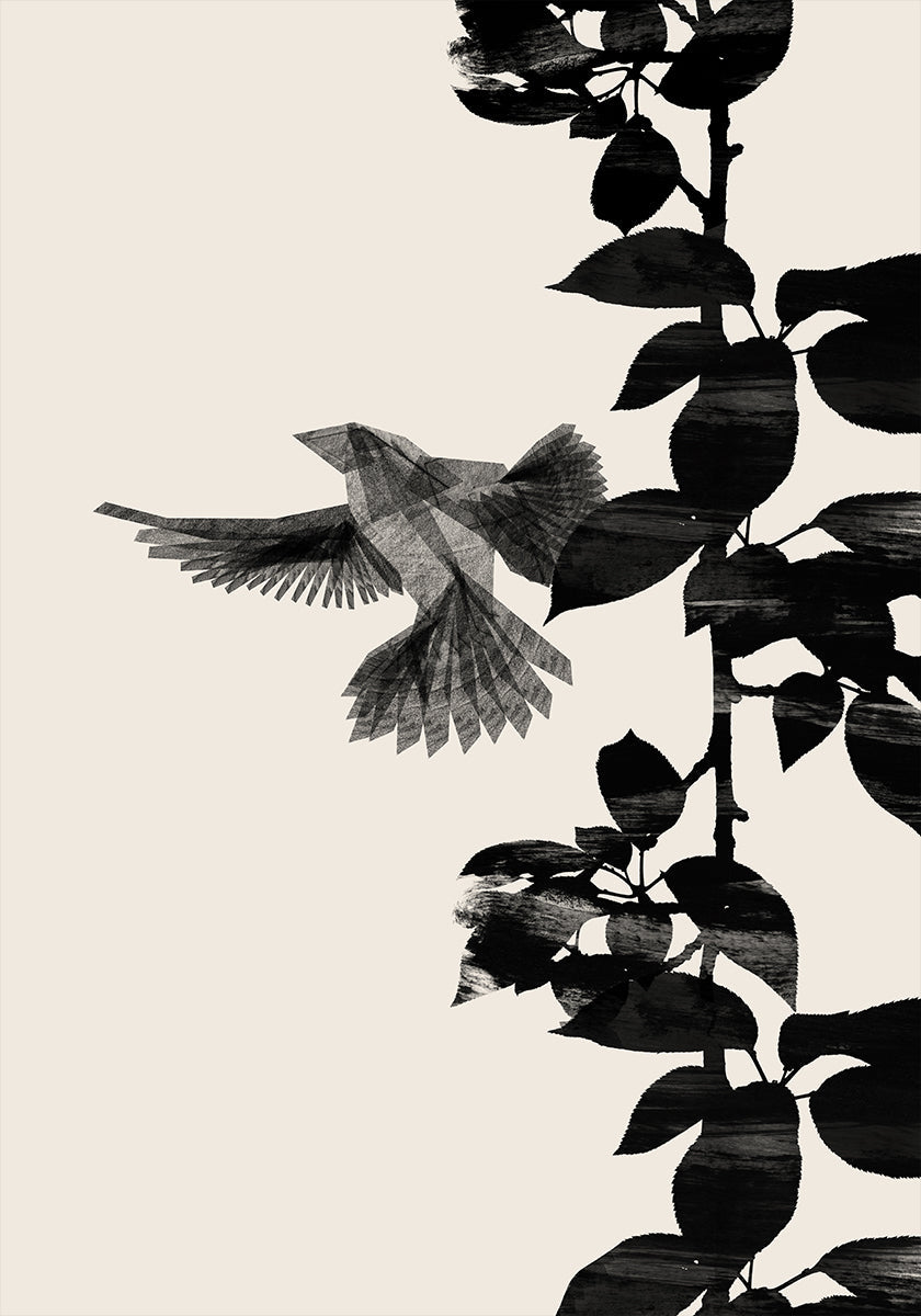 Pôster Pássaro Botânico um 20x30