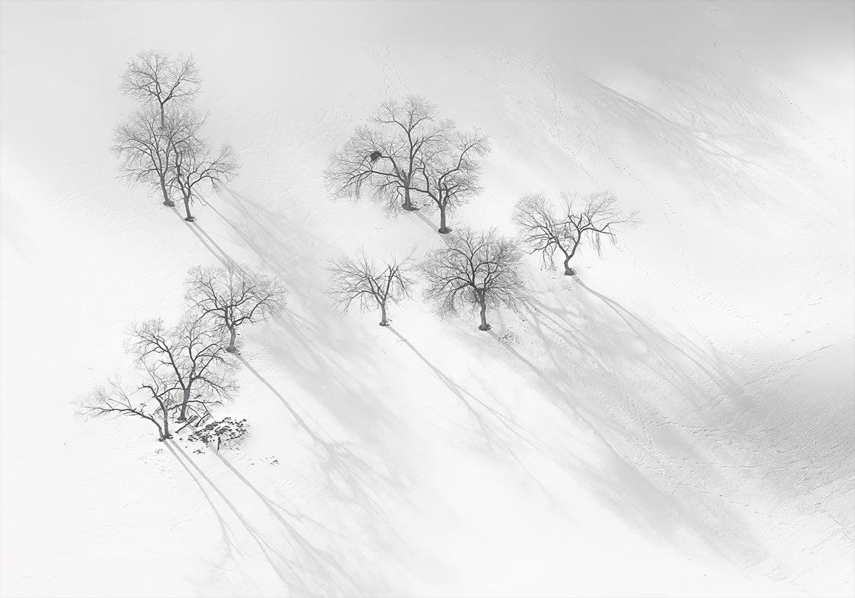 Sonho de inverno - um balé imóvel