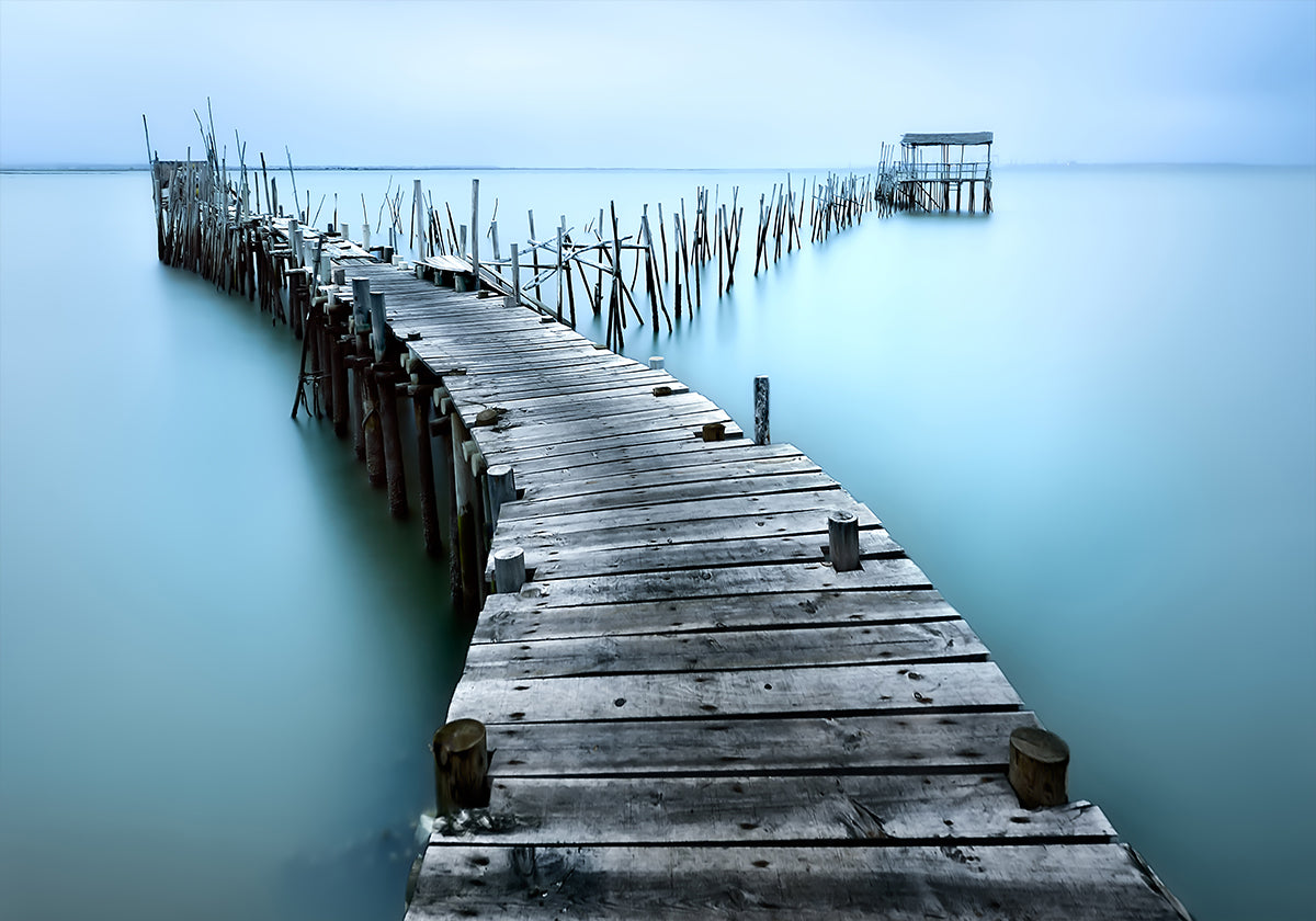 Pôster Carrasqueira II