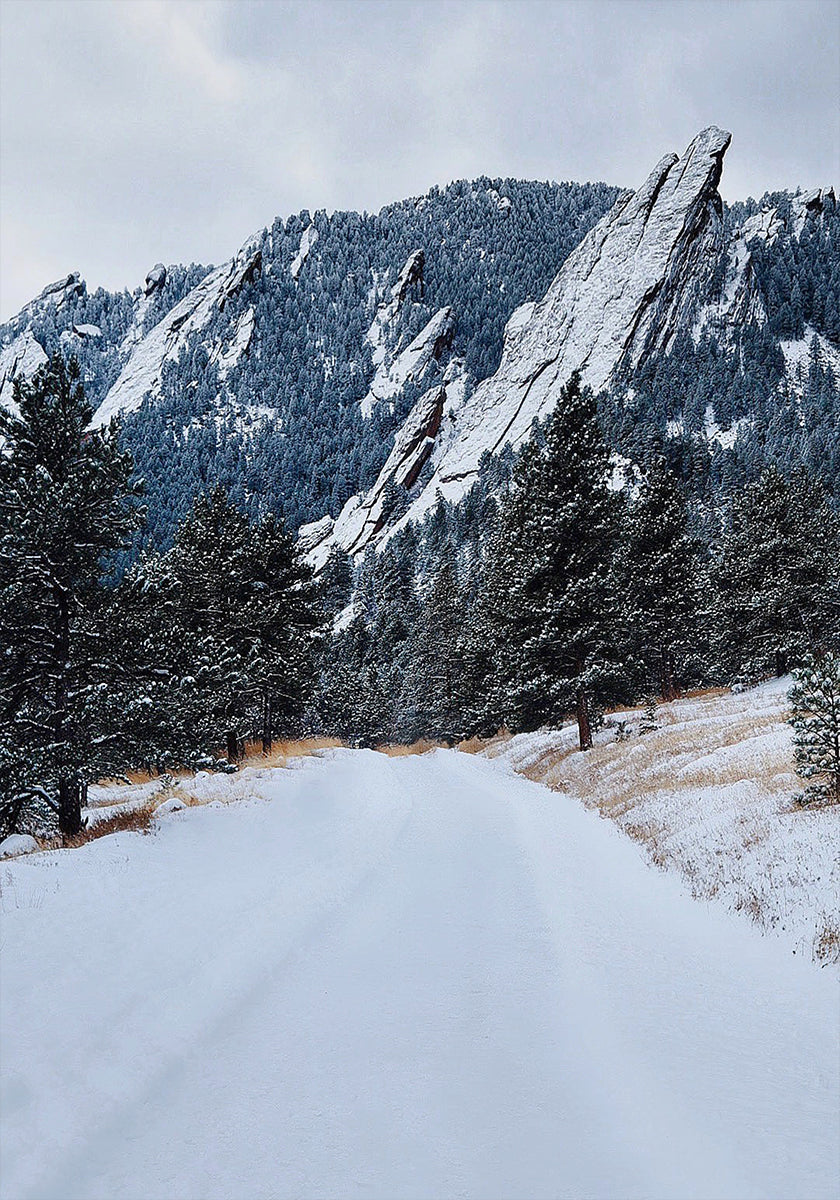 Pôster Flatiron Congelado