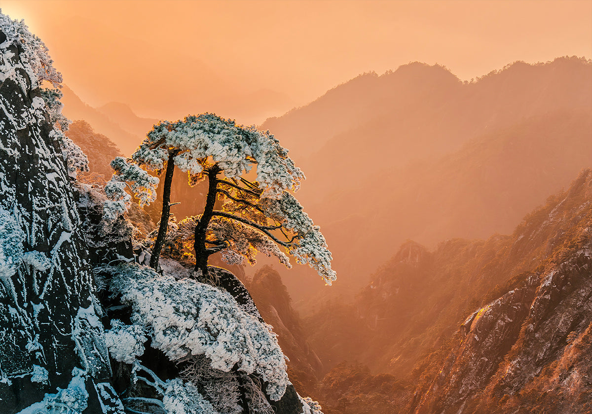 Pôster Resiliência no Limite