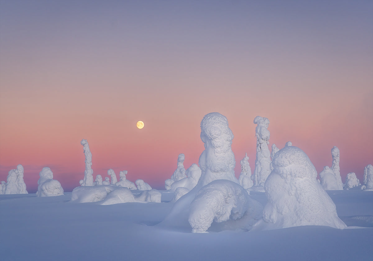 Pôster do drama de Shakespeare