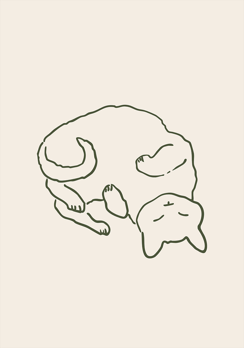 Gato aconchegante e carinhoso (NOVO)