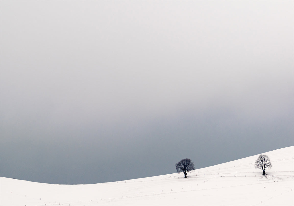 Póster Dois Sozinhos