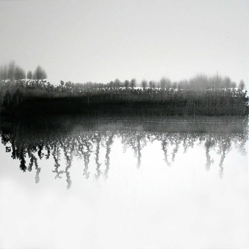 Póster Lago de inverno