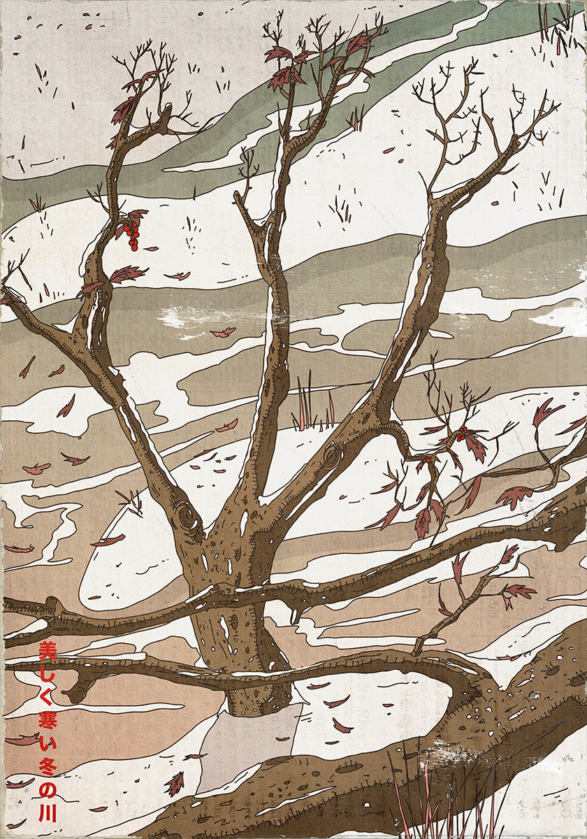 O lindo fluxo de invernos frios (NOVO)