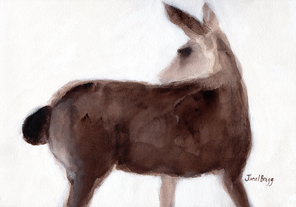 Póster Cervos na pista de Creekside