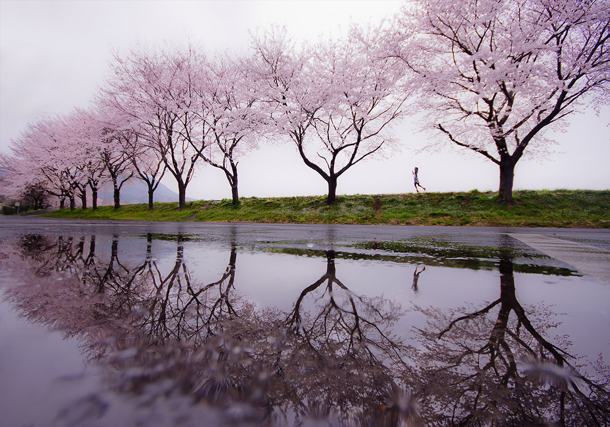 Chuva de primavera