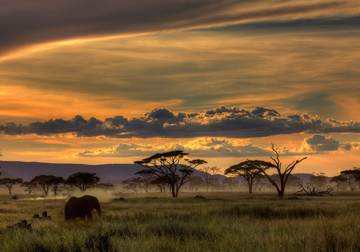 Póster África