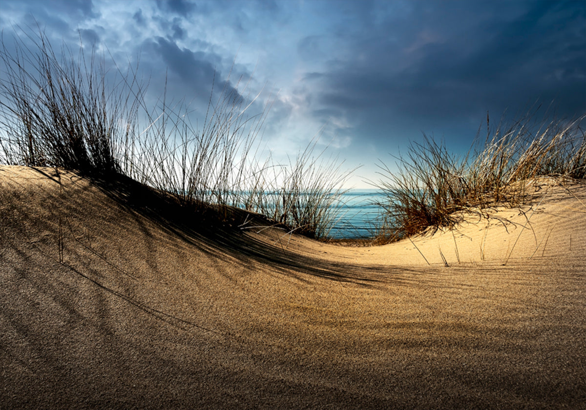 Dunas..........