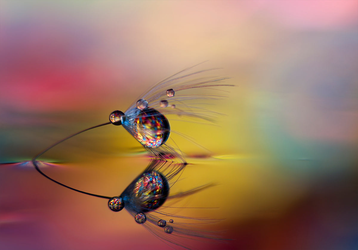 Colorir a escuridão