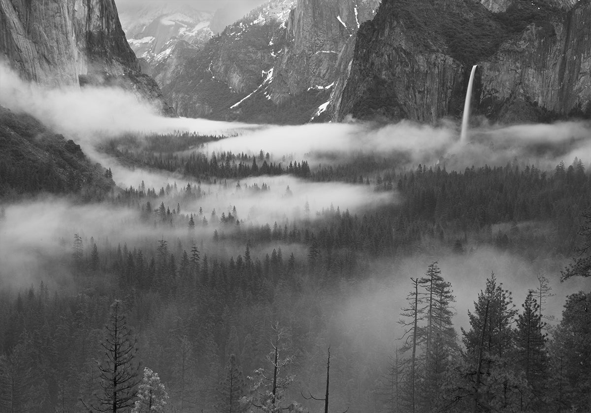 Nevoeiro flutuando no vale de Yosemite