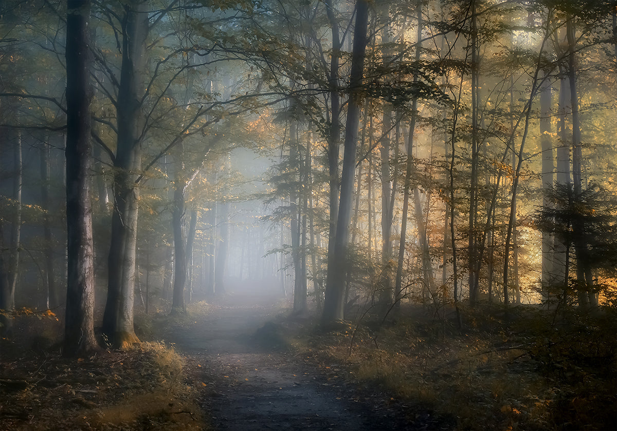 Póster Autumn Symphony