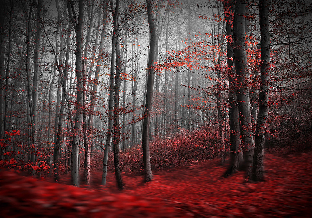 Pôster Rio Sangrento