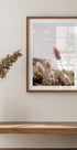 Beach Grass Plakat - Posterbox.no