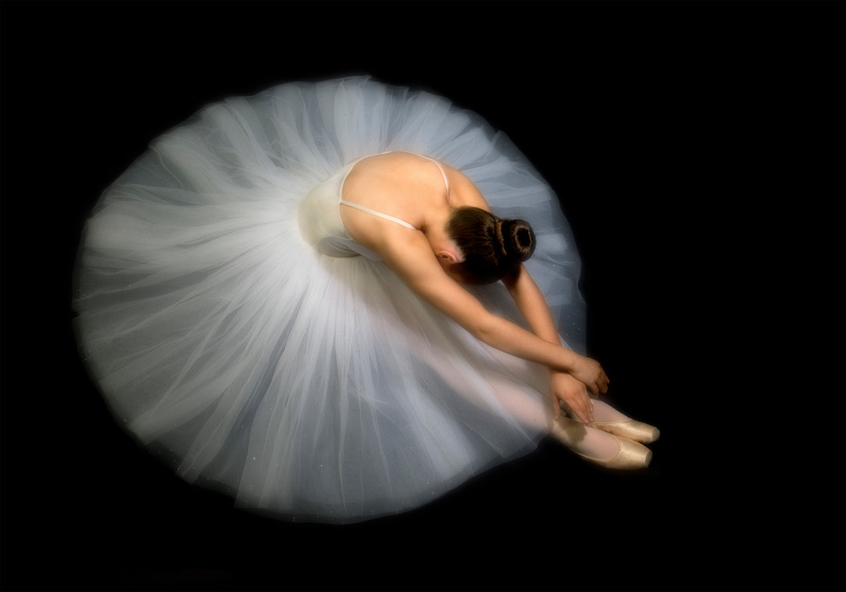 Elegância
