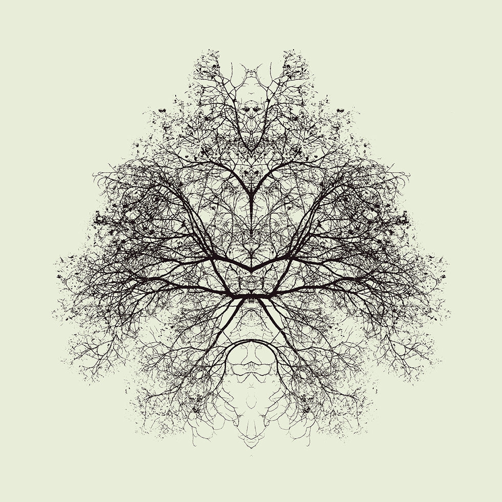 Pôster do teste de Rorschach