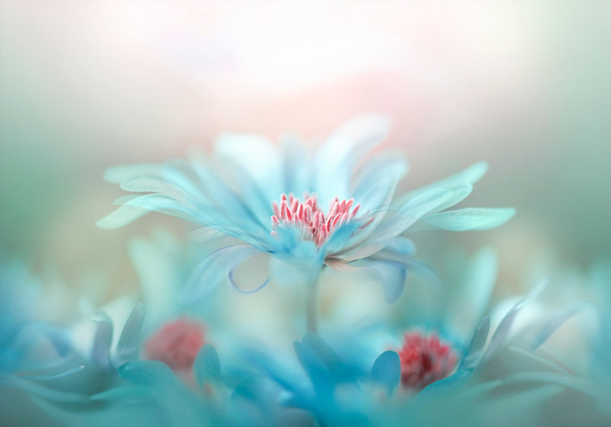 Fantasia