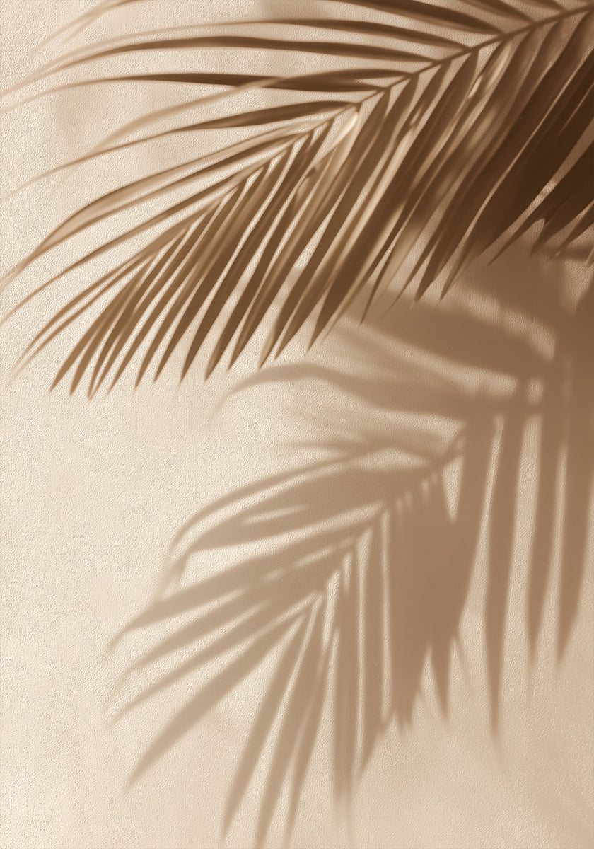 Palm Leaf Shadows (NEW) - Posterbox