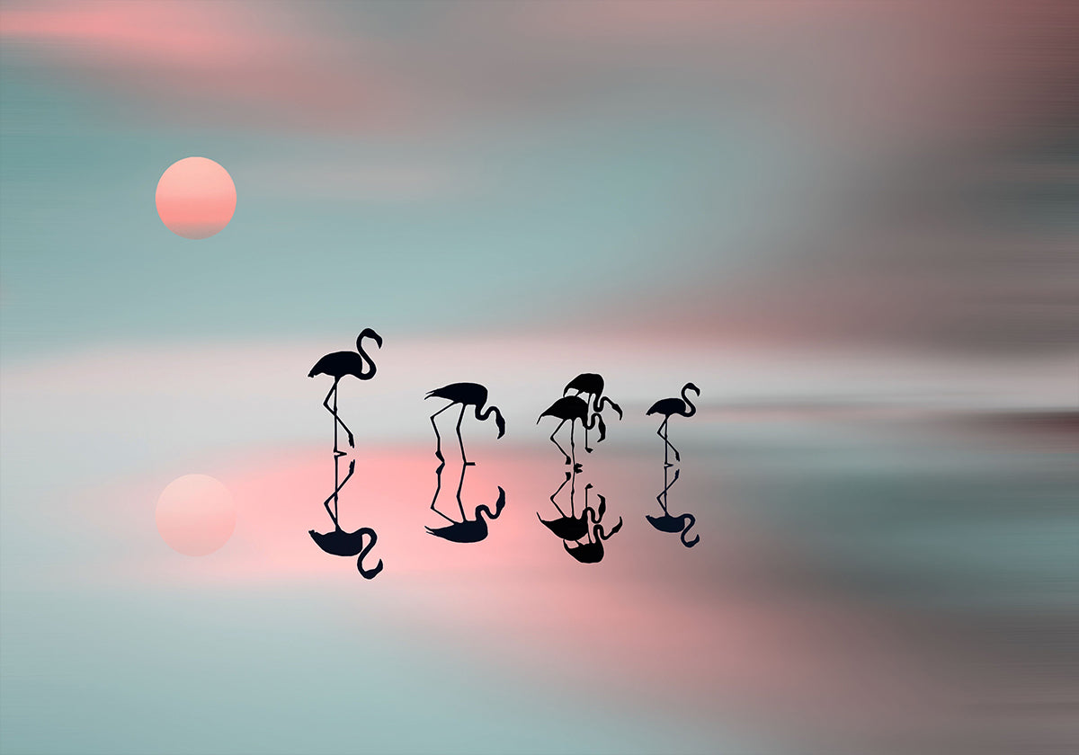 Flamingos da família. Poster