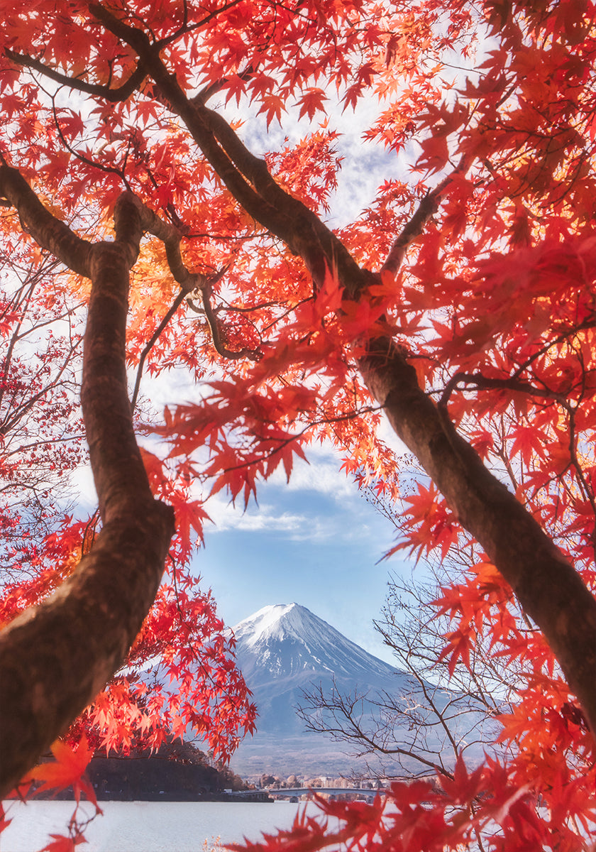 Póster Mt.fuji está nas folhas de outono