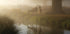 Deer In Mist Plakat - Posterbox.dk