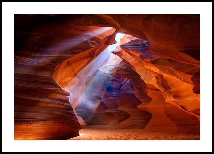 Pôster Photodelight puro 2