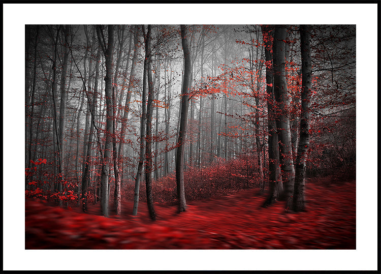 Pôster Rio Sangrento