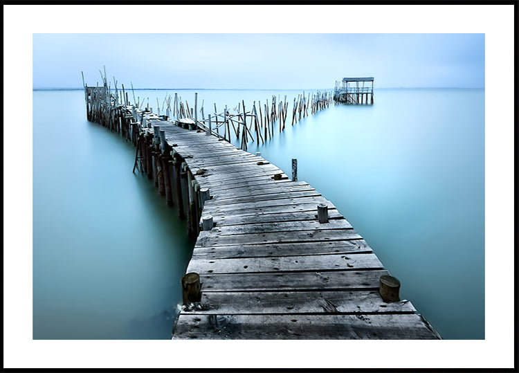 Pôster Carrasqueira II