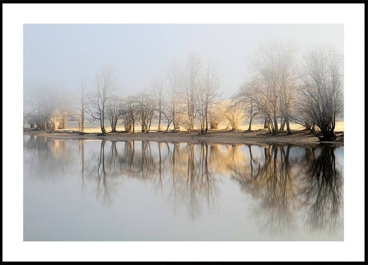 Póster January Morning