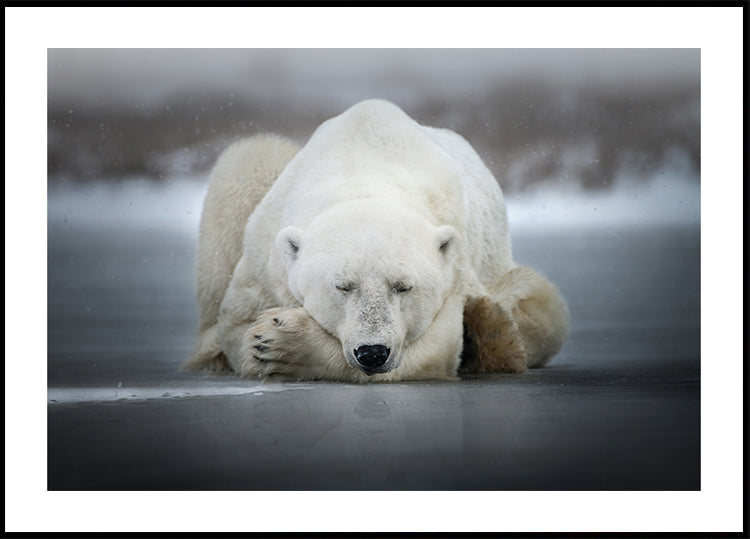 Póster Sonhando sozinho