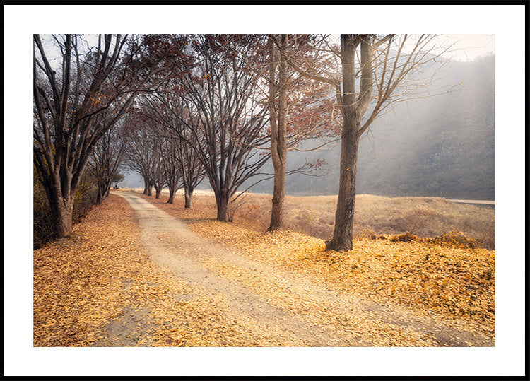 Póster No meio do outono