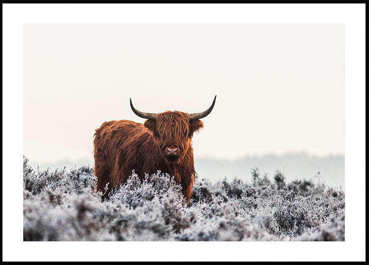 Póster Highlander
