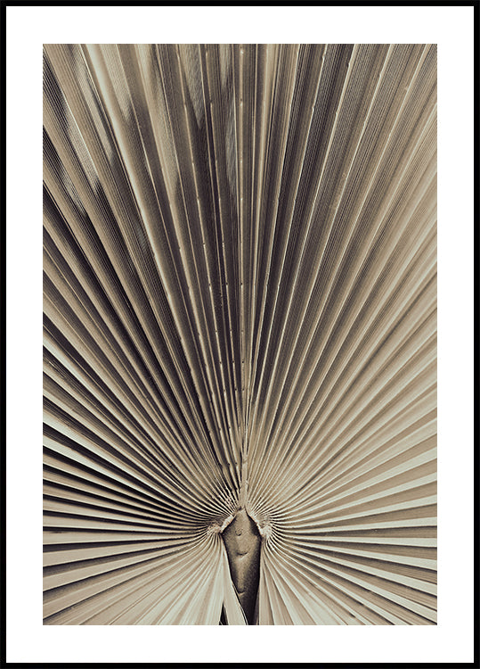 Folha de palmeira_001