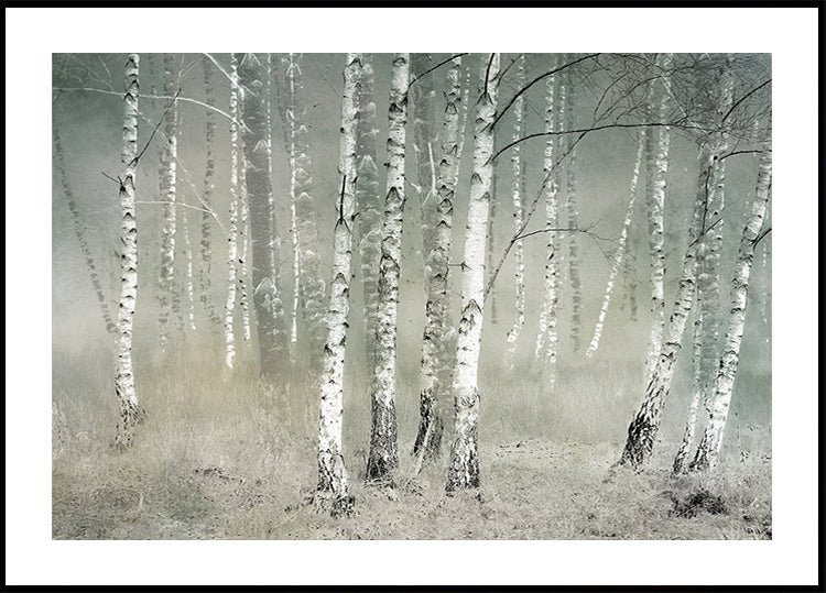 Póster Morning Silence