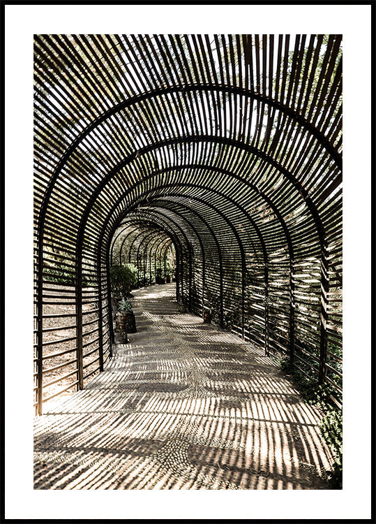 Pôster Jardim das Sombras