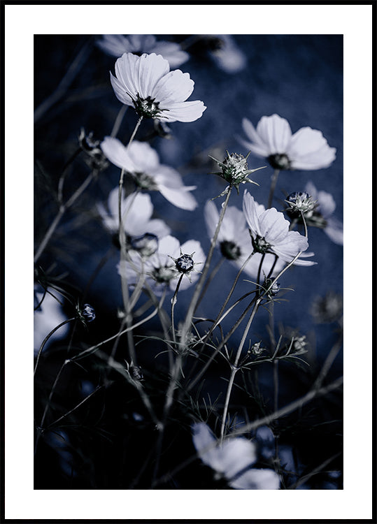 Flores Selvagens 10