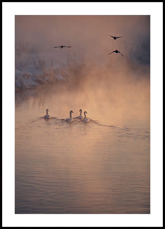 Pôster Onde a névoa não chegou